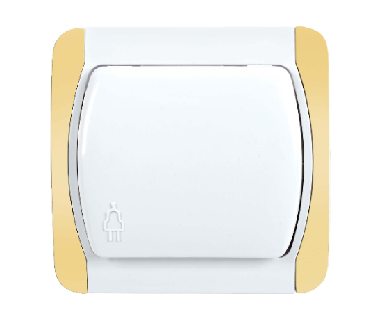 Grounded Socket With Cover