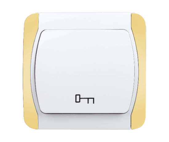 Door Automatic