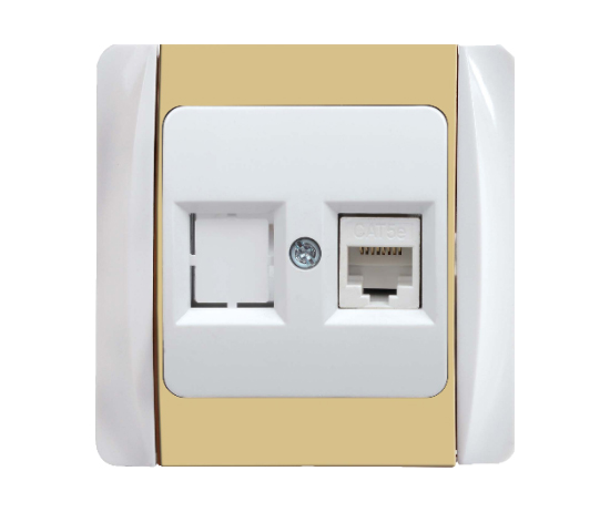  Data Socket Outlet (CAT 5)