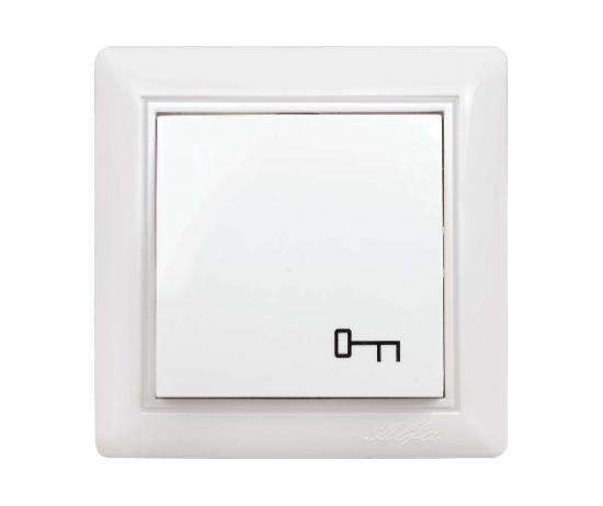 Door Automatic