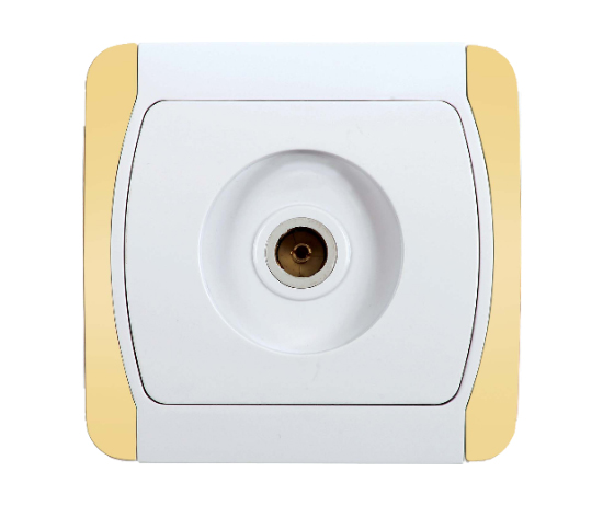 TV Socket